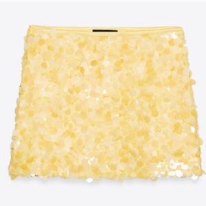 Zara sequin skirt
